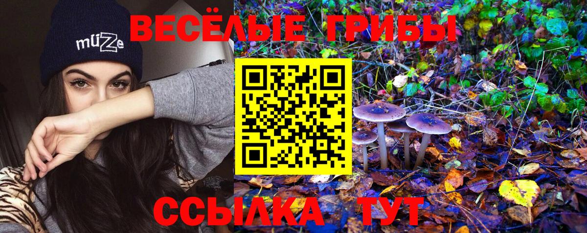 Галлюциногенные грибы Magic Shrooms Карпинск